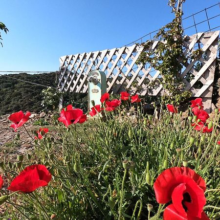 Hill'S Barbacane Potamos  المظهر الخارجي الصورة