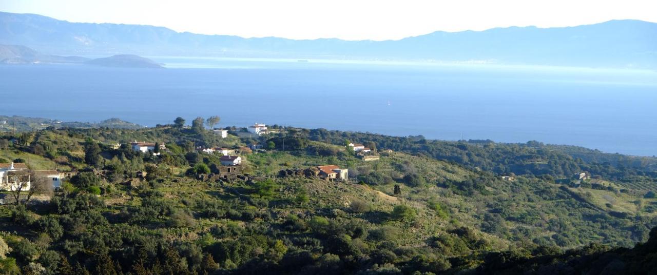 Hill'S Barbacane Potamos  المظهر الخارجي الصورة