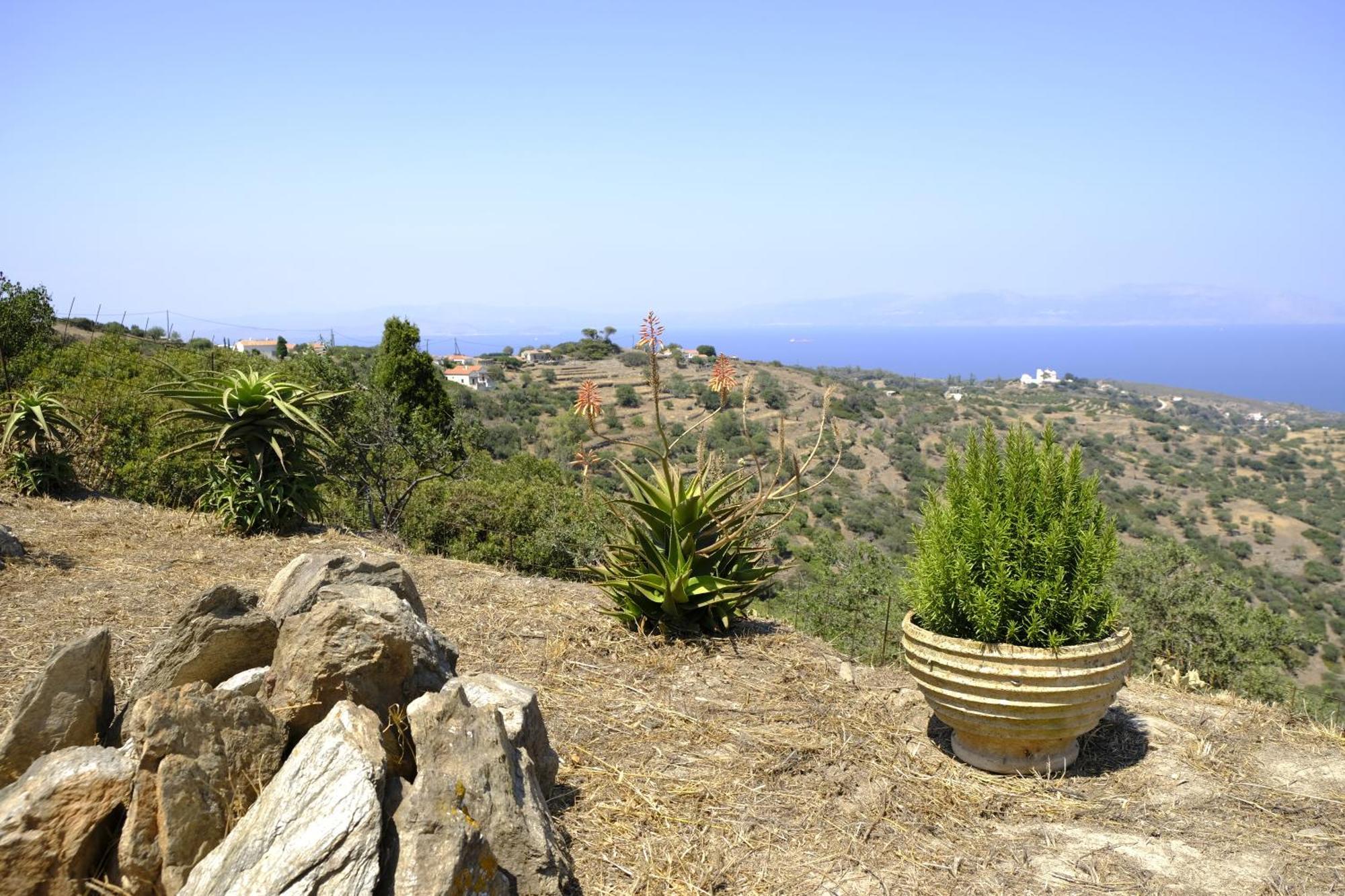Hill'S Barbacane Potamos  المظهر الخارجي الصورة