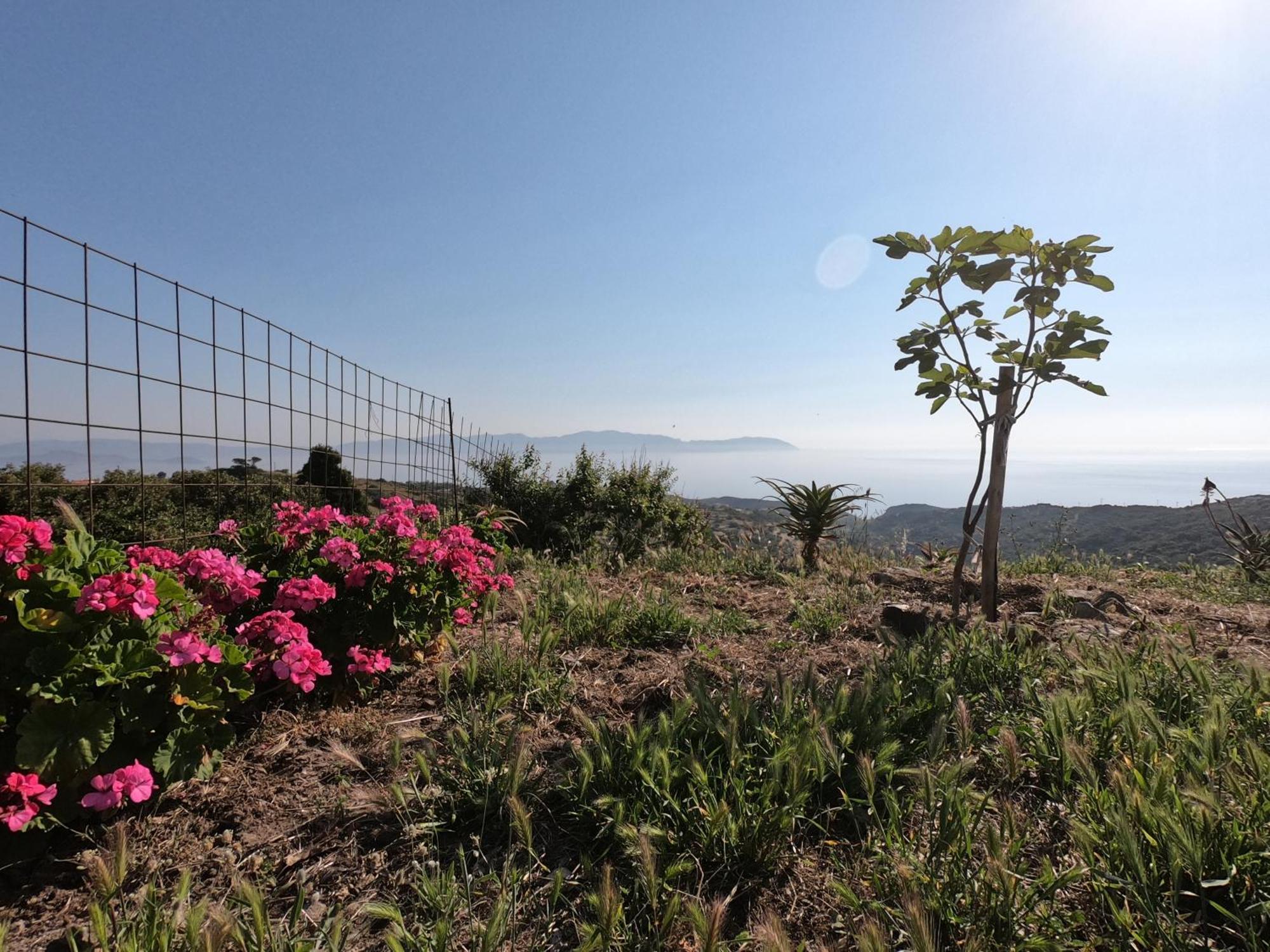 Hill'S Barbacane Potamos  المظهر الخارجي الصورة